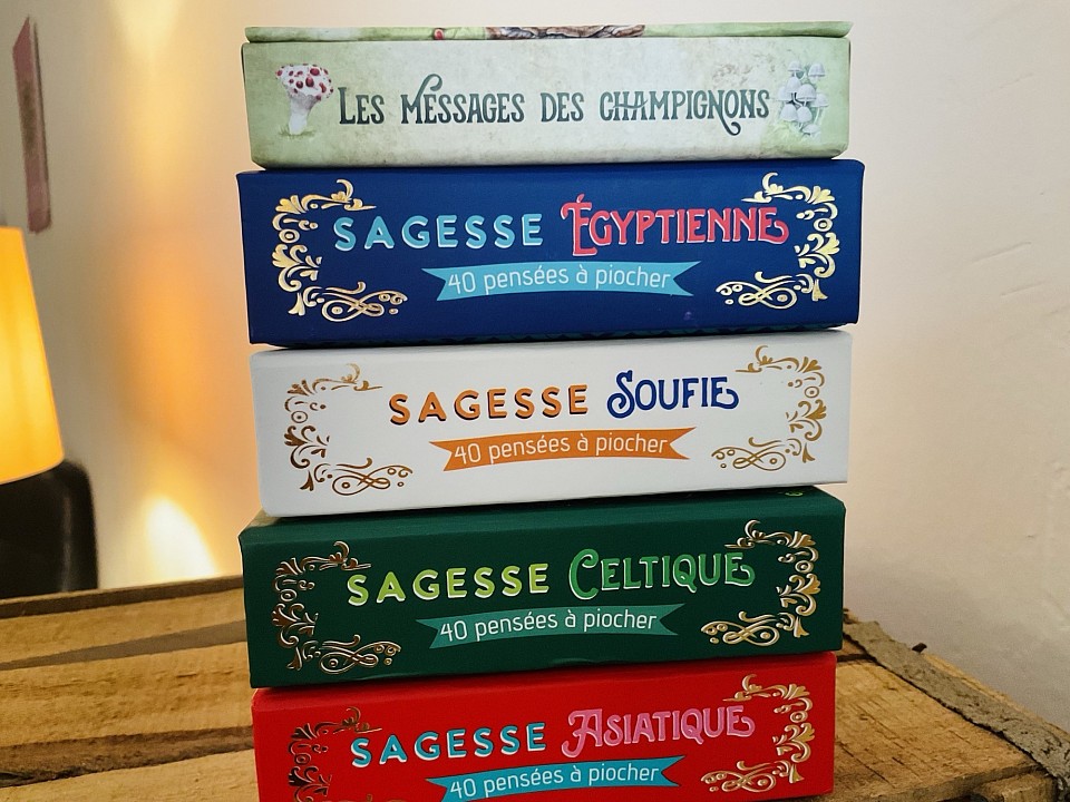 un message par jour pour integrer les sagesses du monde 13500, 20 euros