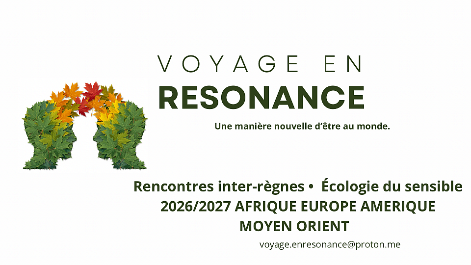 UNE NOUVELLE MANIERE D’ETRE AU MONDE